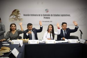 Aprueban Comisiones iniciativa de Raúl Morón para modernizar y  volver inclusivas bibliotecas públicas de México