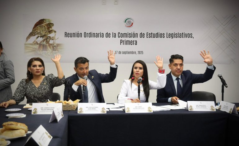 Aprueban Comisiones iniciativa de Raúl Morón para modernizar y  volver inclusivas bibliotecas públicas de México