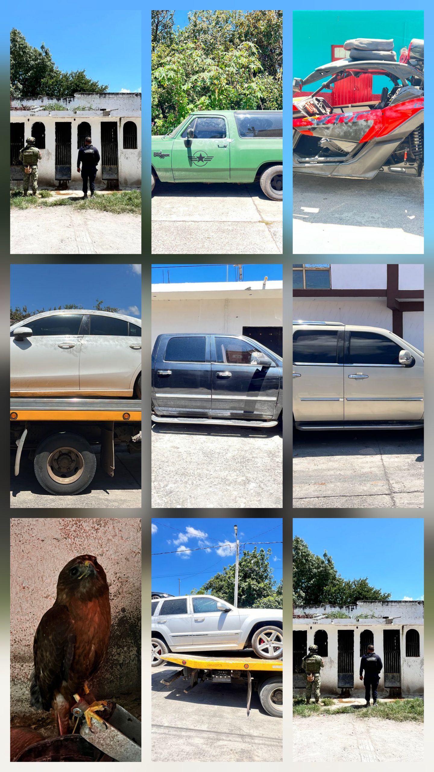 Participa SSP en aseguramiento de inmueble, 10 vehículos y animales exóticos.