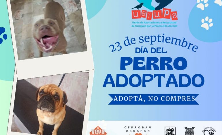 23 de septiembre: Día del Perro Adoptado, rescates rebasan 80% adopciones