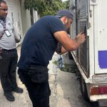 Rescata FGE a dos caninos en Morelia, tras denuncia por maltrato animal