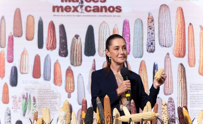 PRESIDENTA CLAUDIA SHEINBAUM ANUNCIA PROGRAMA “SIN MAÍZ NO HAY PAÍS” PARA PRODUCIR CON BIENESTAR