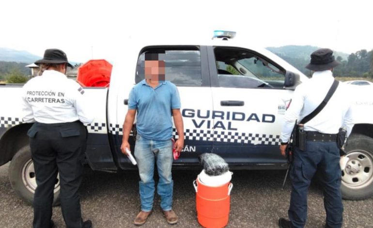 SSP detiene a hombre que viajaba con más de 660 mil pesos