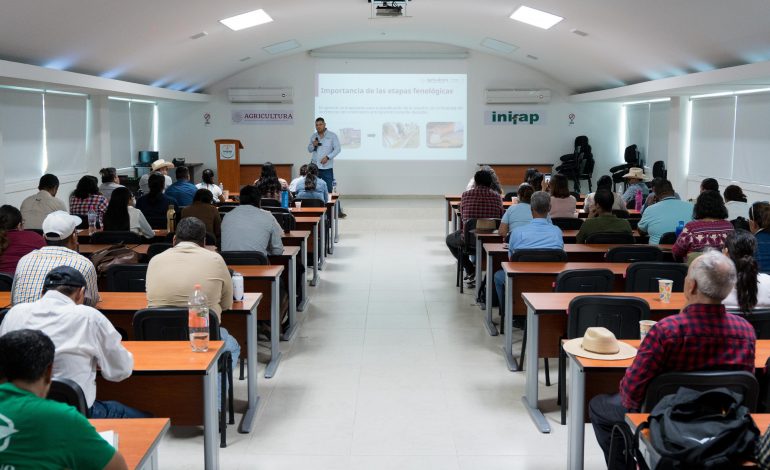 Sader impulsa soberanía alimentaria a través de técnicas agroecológicas