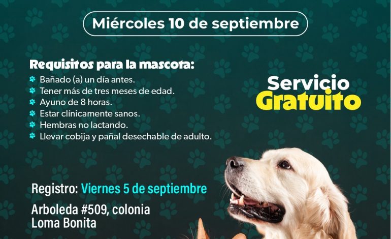 SSM ofrece jornada de esterilización gratuita de perros y gatos en Morelia