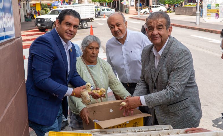 Funcionarios Municipales, en representación de la Presidenta Municipal, Jeovana Alcántar, entregaron 1200 pollitos doble propósito.