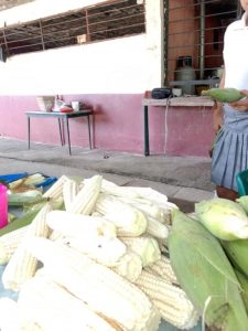 Cosechan autosuficiencia alimentaria en el municipio de Nuevo Urecho: Sader