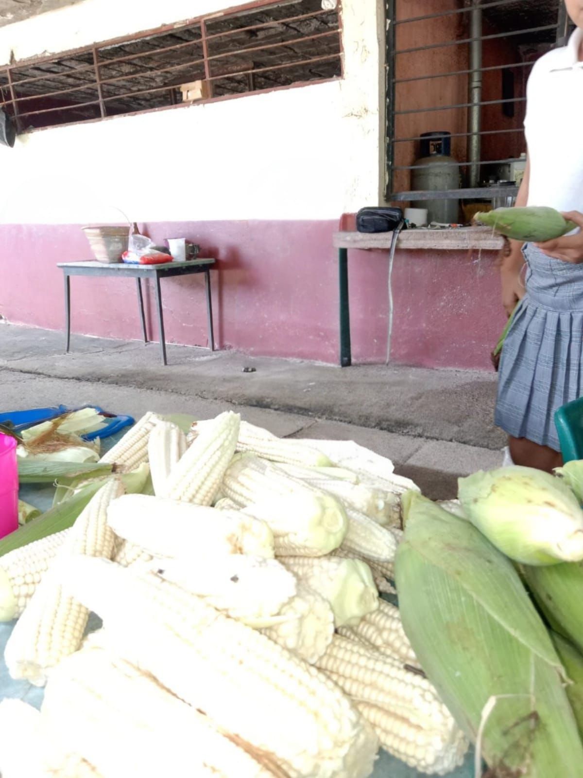 Cosechan autosuficiencia alimentaria en el municipio de Nuevo Urecho: Sader