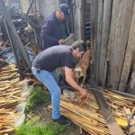 En cateo, asegura Fiscalía General a cinco ejemplares caninos en condiciones de abandono en Hidalgo.
