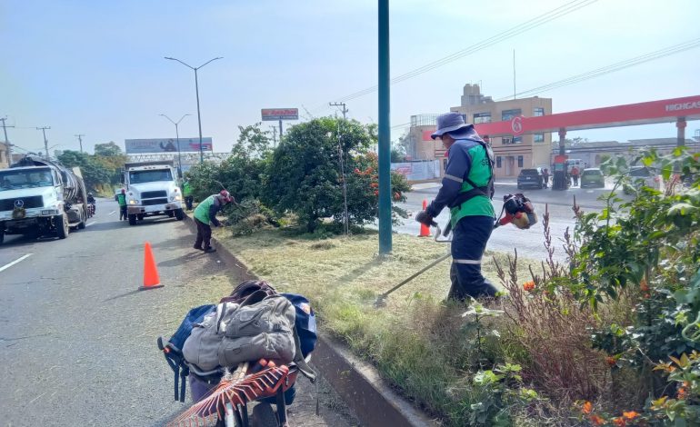Brigadas de Servicios Públicos intervienen carretera a salida a Quiroga