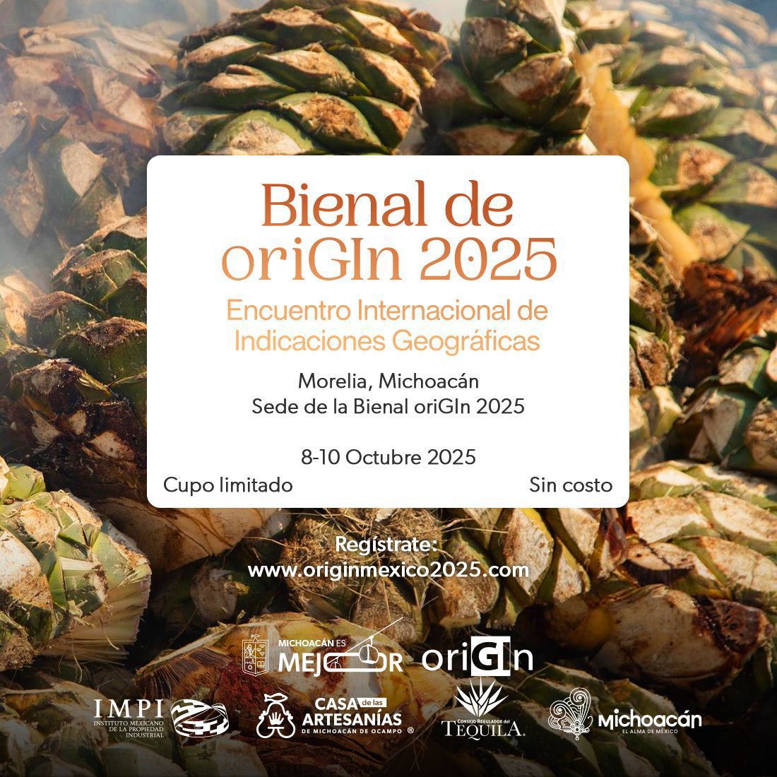 Bienal oriGIn reunirá panelistas de 16 países para impulsar protección de Indicaciones Geográficas: Casart
