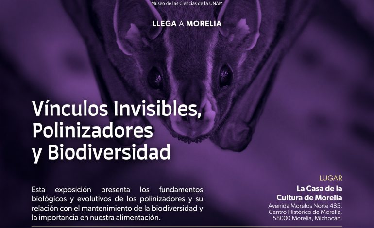 Muestra interactiva de ciencia invita a niños y jóvenes a conocer sobre la polinización: ICTI