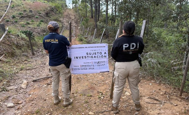 Cumplimenta FGE cateo en predio relacionado con delito ambiental en Morelia; detectan plantación de agave