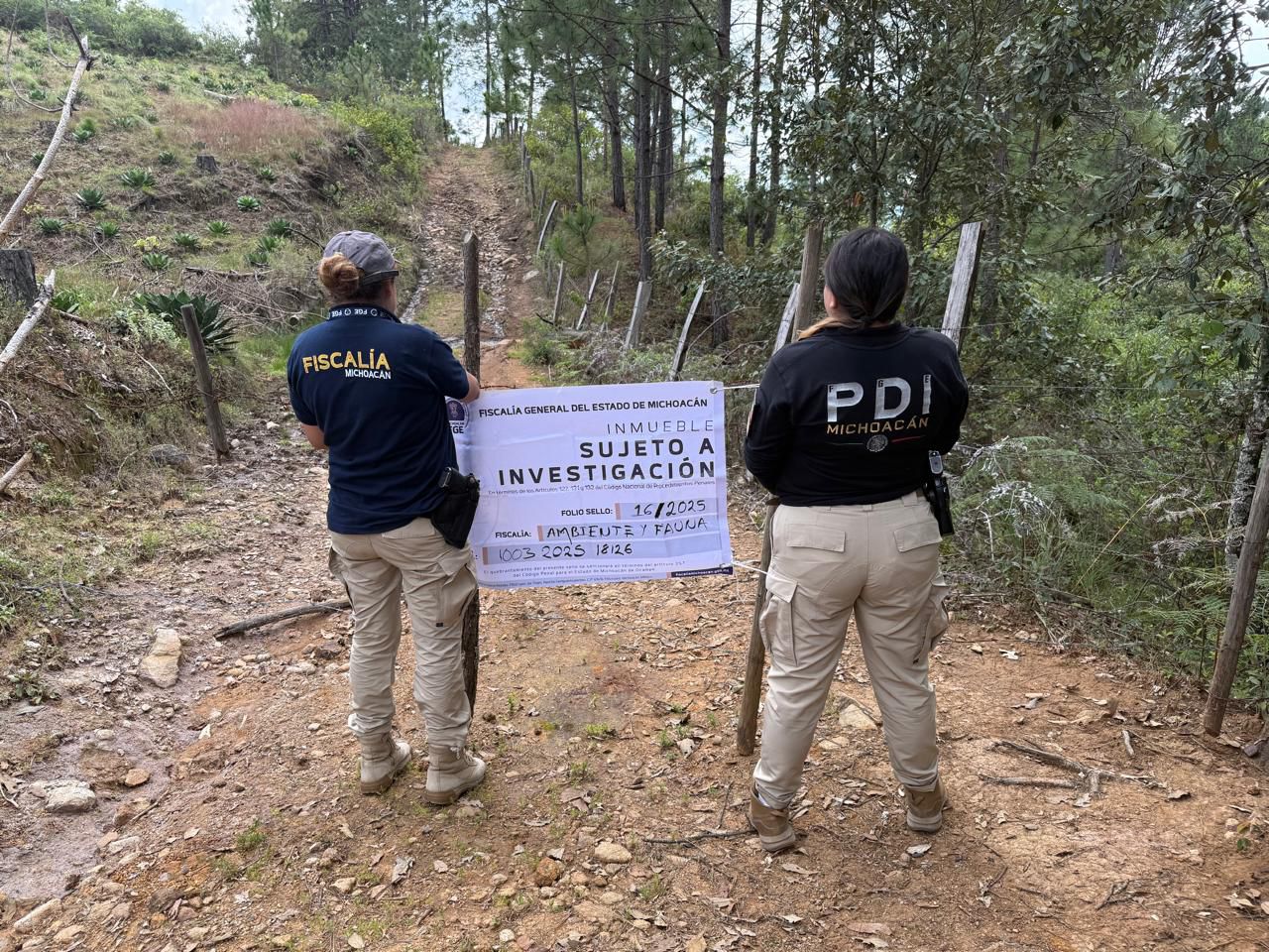 Cumplimenta FGE cateo en predio relacionado con delito ambiental en Morelia; detectan plantación de agave