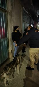Rescata FGE a canino víctima de maltrato en Maravatío