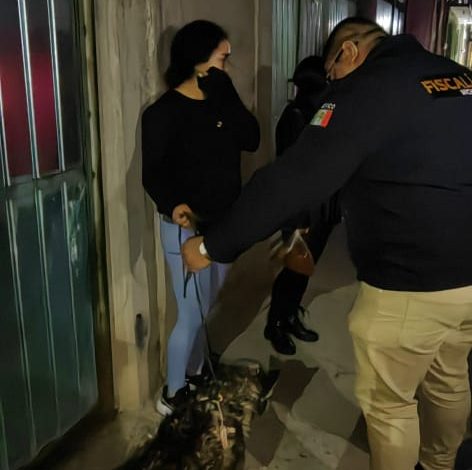 Rescata FGE a canino víctima de maltrato en Maravatío