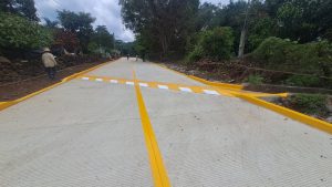 Tomendán cuenta con nueva infraestructura social: Rogelio Zarazúa