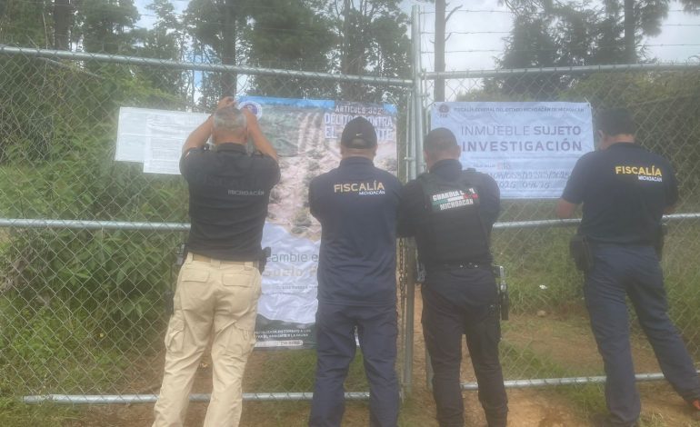 Cumplimenta FGE cateo en predio relacionado con delito ambiental en Tacámbaro