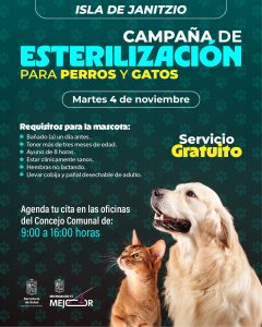 SSM llevará jornada gratuita de esterilización animal a la isla de Janitzio