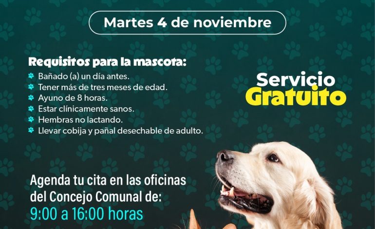 SSM llevará jornada gratuita de esterilización animal a la isla de Janitzio
