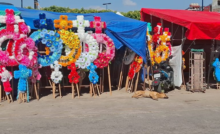 Calle Pueblita se llena de color y tradición con más de 100 coroneros