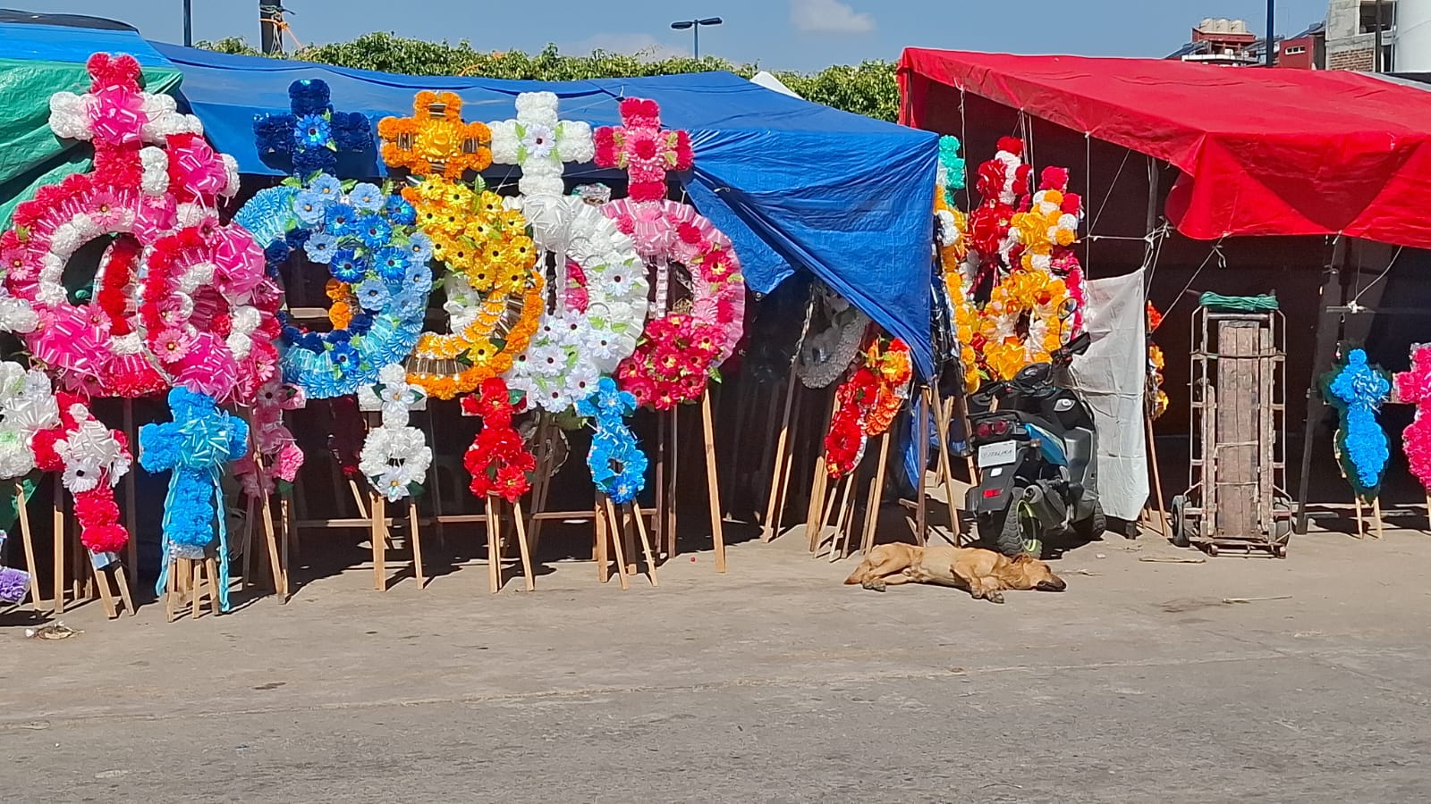Calle Pueblita se llena de color y tradición con más de 100 coroneros