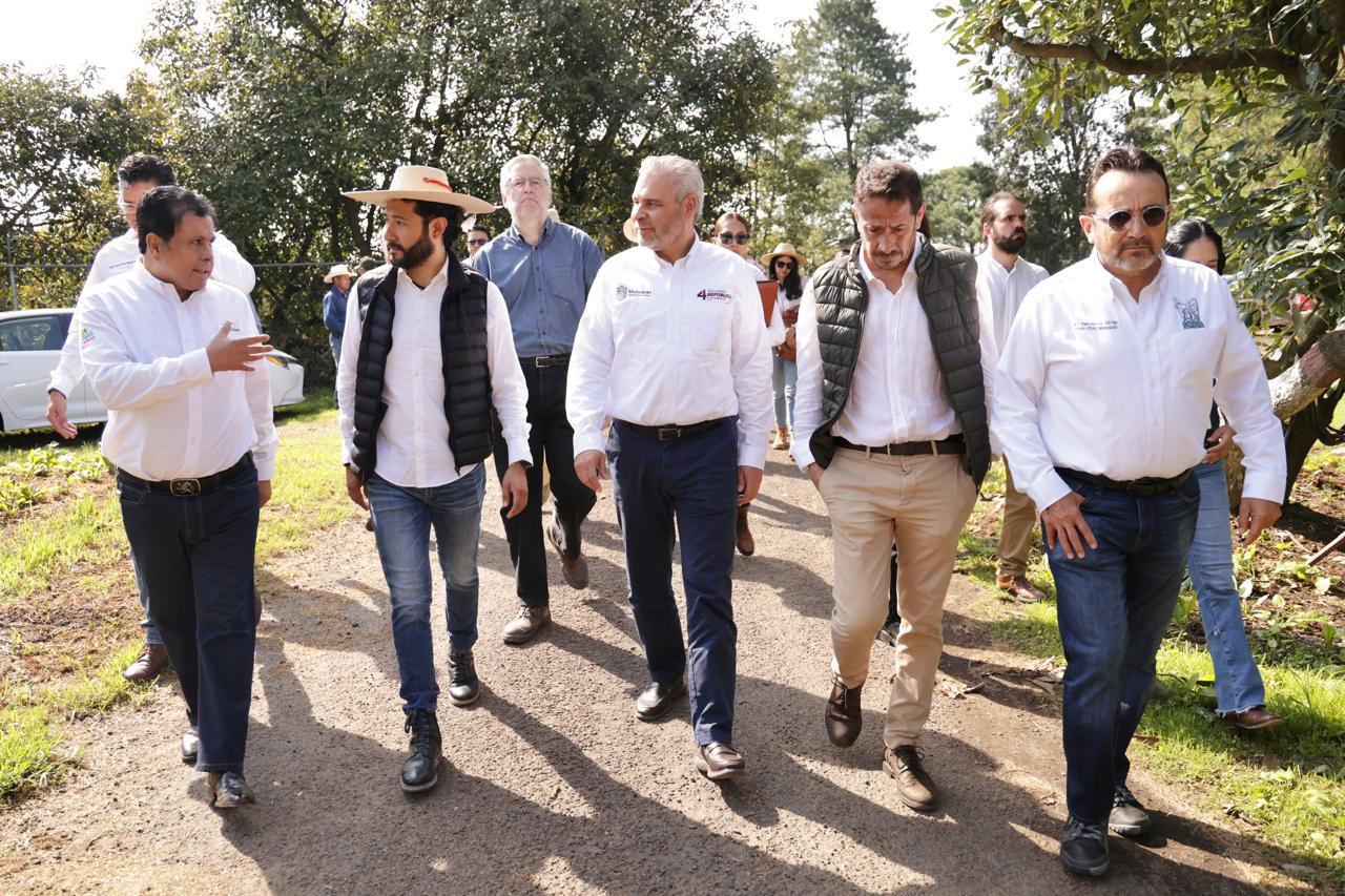 Con más de 3.8 millones de toneladas, Michoacán lidera producción nacional de aguacate, limón y berries