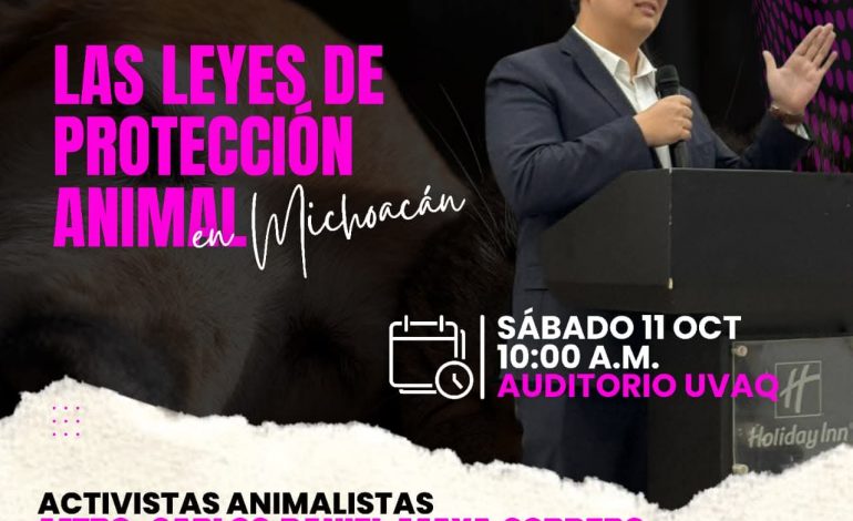 ​¿QUÉ HACER ANTE EL MALTRATO? Aprende las Leyes de Protección Animal de Michoacán con el Mtro. Carlos Maya.