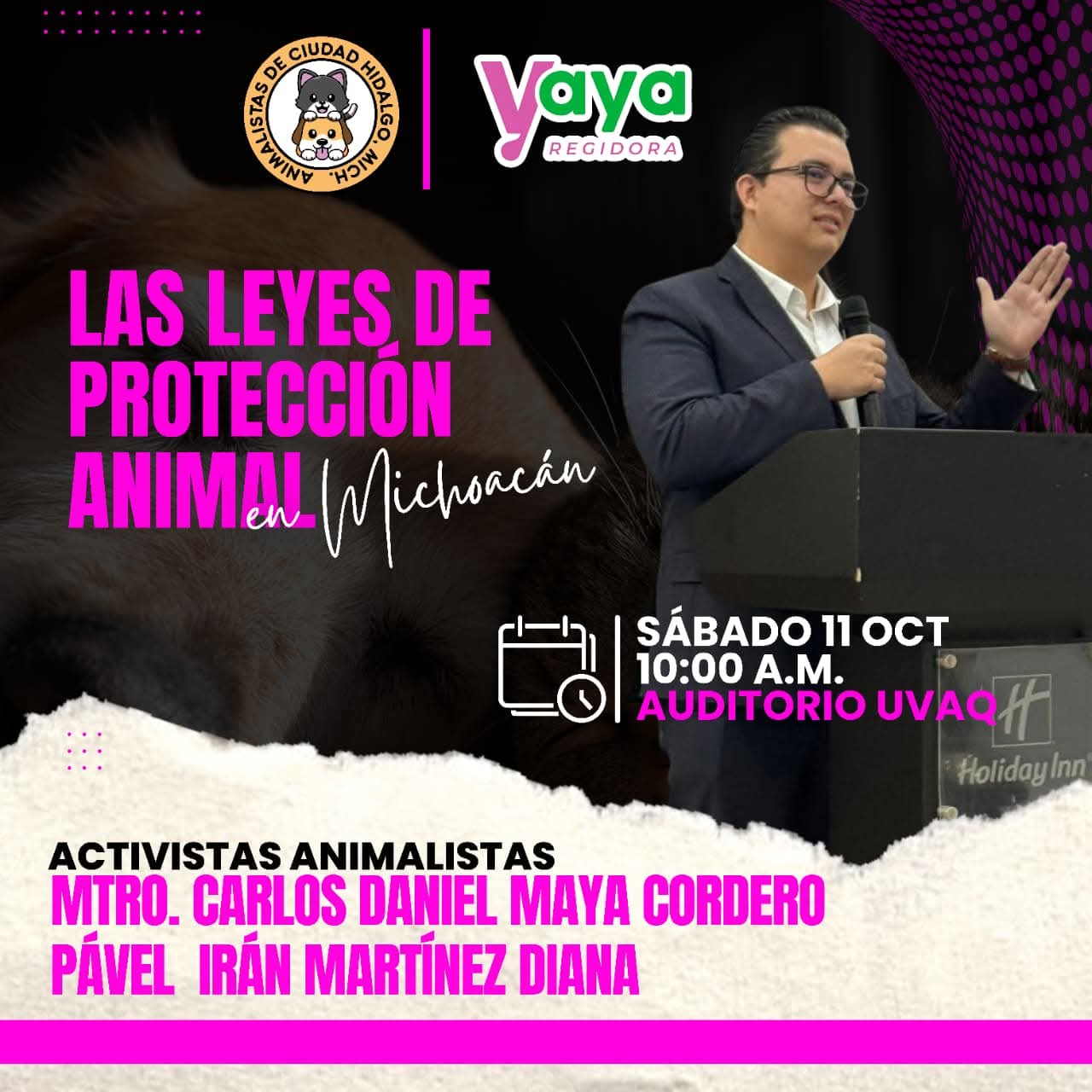 ​¿QUÉ HACER ANTE EL MALTRATO? Aprende las Leyes de Protección Animal de Michoacán con el Mtro. Carlos Maya.
