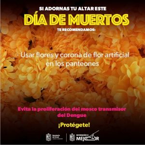 Celebra la Noche de Muertos sin dengue: SSM