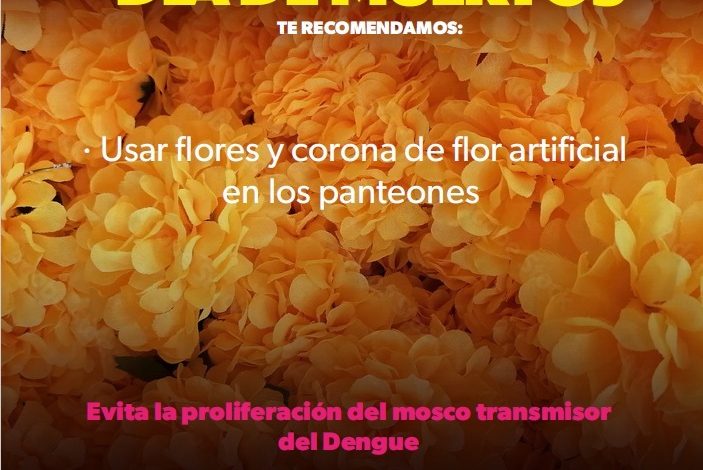 Celebra la Noche de Muertos sin dengue: SSM