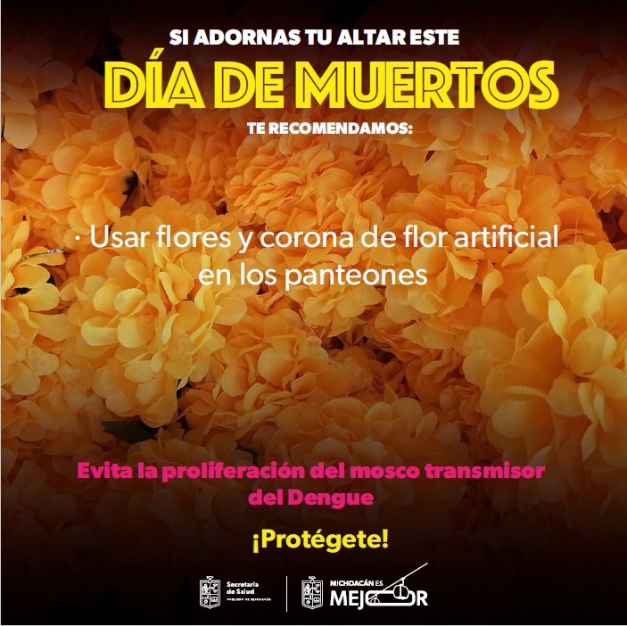 Celebra la Noche de Muertos sin dengue: SSM