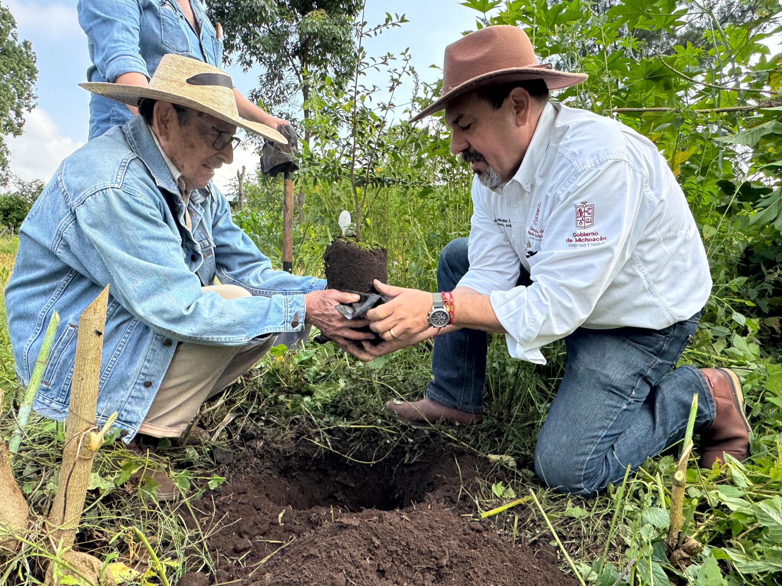 Producidos en vivero más de 400 árboles de zapote prieto para su preservación: Secma.
