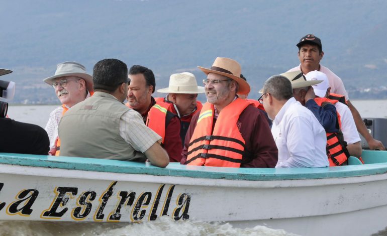 Más de 80 mil peces liberados en el lago de Pátzcuaro como parte del plan de conservación: Bedolla