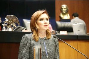 Crear equipos de respuesta rápida para la búsqueda de mujeres, adolescentes y niñas desaparecidas, pide senadora Imelda Sanmiguel<br>