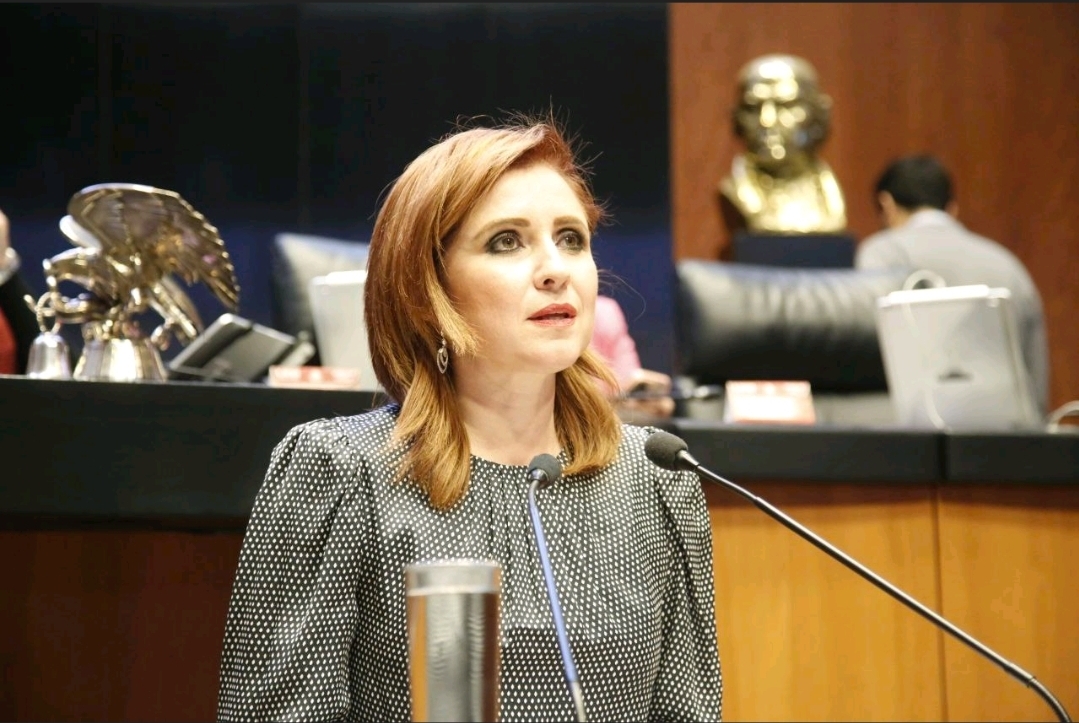 Crear equipos de respuesta rápida para la búsqueda de mujeres, adolescentes y niñas desaparecidas, pide senadora Imelda Sanmiguel