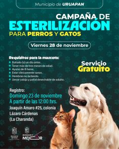 SSM lleva esterilización animal gratuita a Santa Ana Maya y Uruapan