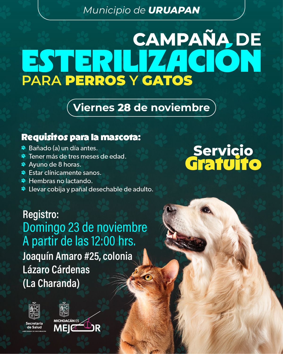 SSM lleva esterilización animal gratuita a Santa Ana Maya y Uruapan