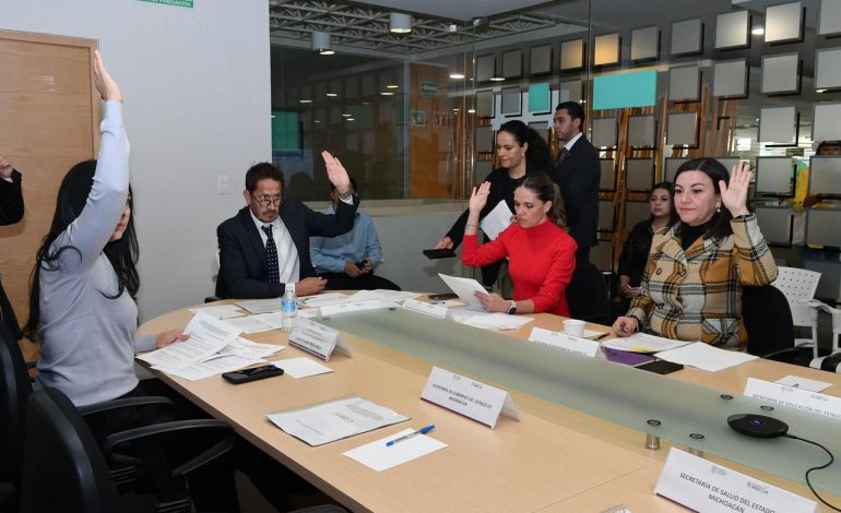 Se reinstala comisión para prevenir y erradicar el trabajo infantil en Michoacán: Sedeco