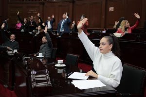 Congreso debe priorizar seguridad, medio ambiente y salud para el Presupuesto 2026: Sandra Arreola