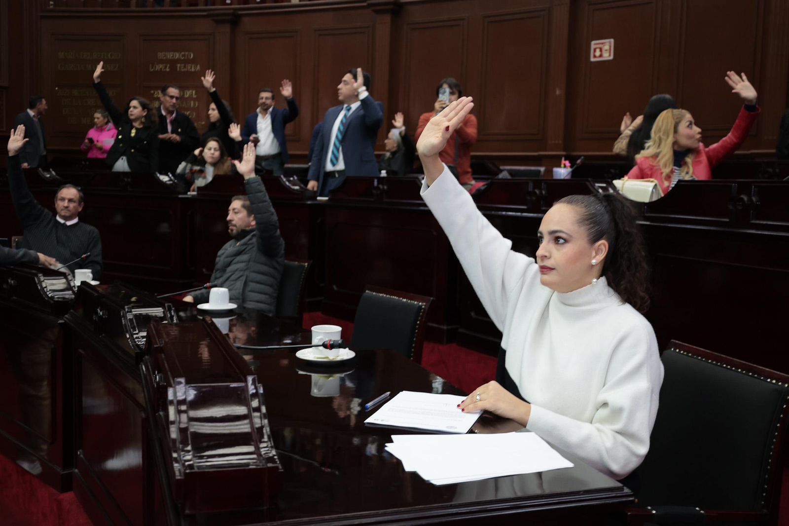 Congreso debe priorizar seguridad, medio ambiente y salud para el Presupuesto 2026: Sandra Arreola
