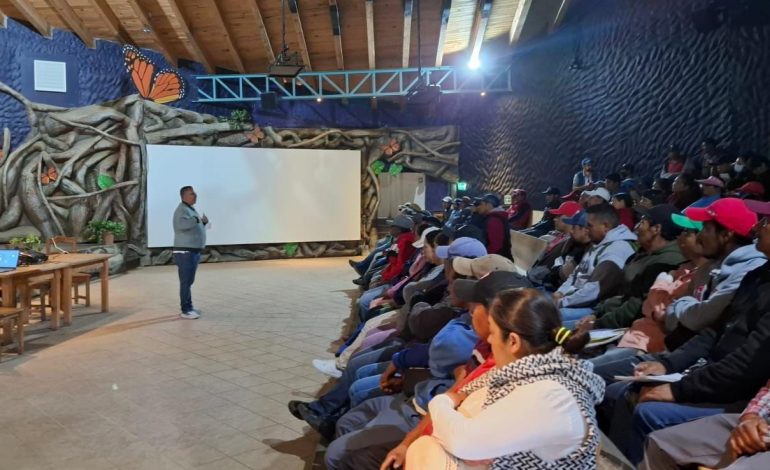 Fortalece Sectur calidad de servicios en santuarios de la Mariposa Monarca