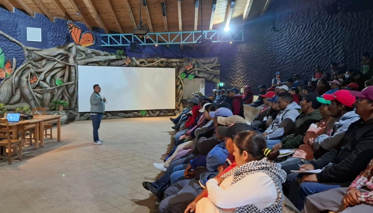 Fortalece Sectur calidad de servicios en santuarios de la Mariposa Monarca
