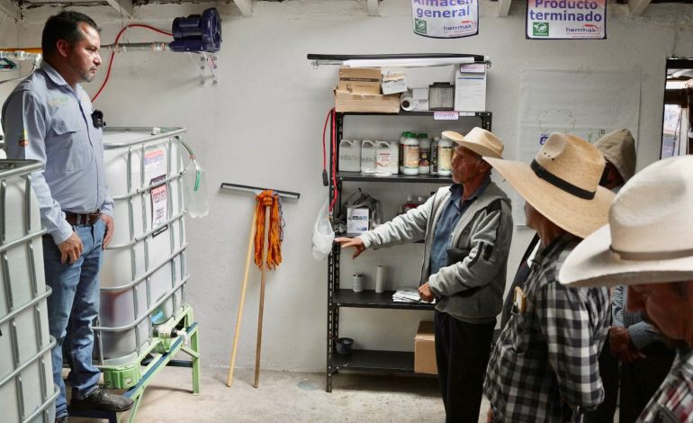 Sader implementa técnicas agroecológicas para cultivos en Michoacán