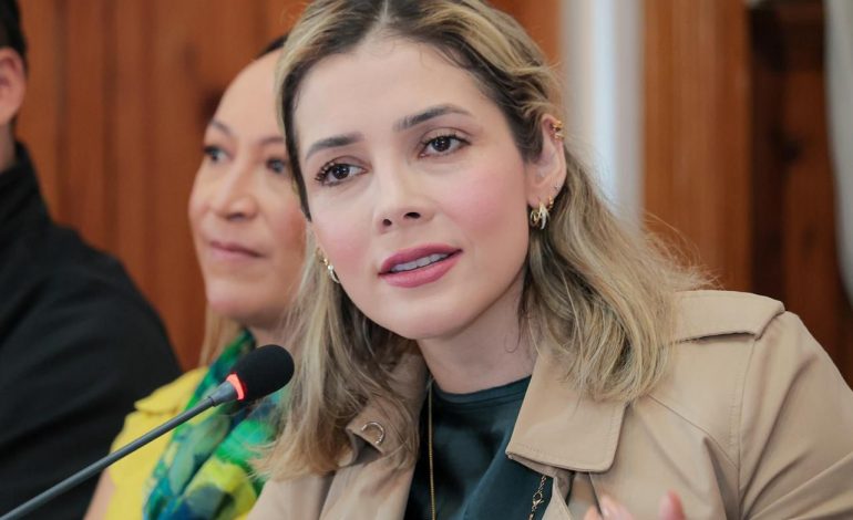 Inaceptable que persista la violencia hacia las mujeres en política: Brissa Arroyo