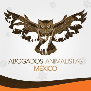  Colectivos animalistas aplauden endurecimiento de sanciones penales contra la crueldad animal.