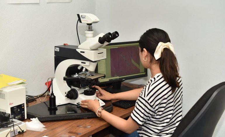 Con un programa flexible, Maestría en Ciencia en Ecología Integrativa de la UMSNH abre su convocatoria