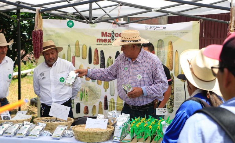 Agrosano ha beneficiado a más de 25 mil productores con técnicas agroecológicas: Sader