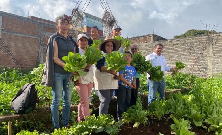 Agrosano ha entregado 150 mil aves e insumos para la soberanía alimentaria de 15 mil familias: Sader