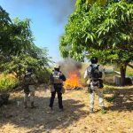 Desmantelados 4 campamentos clandestinos en Buenavista: SSP.<br>